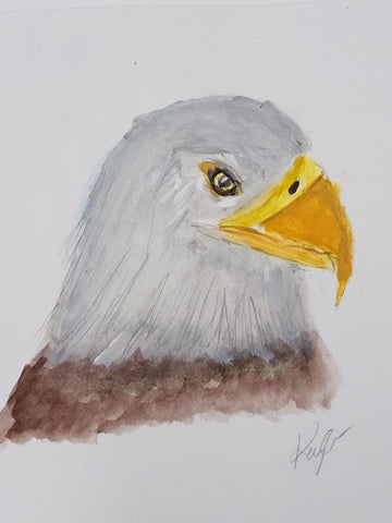 Bald Eagle