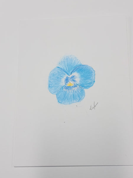 Blue Pansy