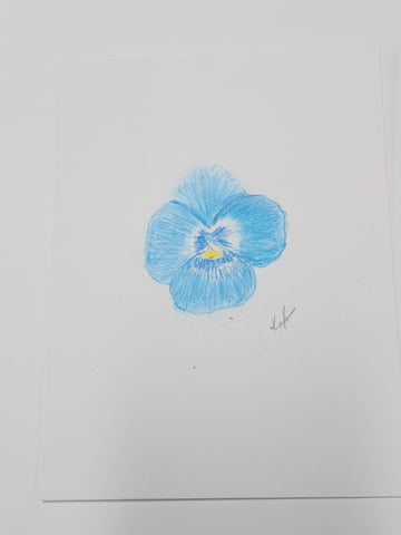 Blue Pansy
