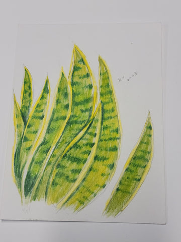 Leaves