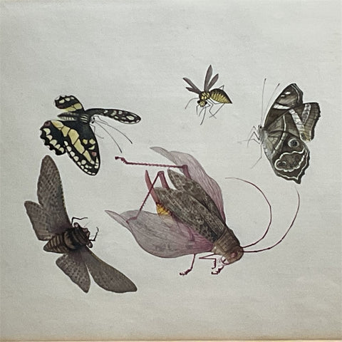 3 China Trade Watercolor Paintings of Insects 1820's