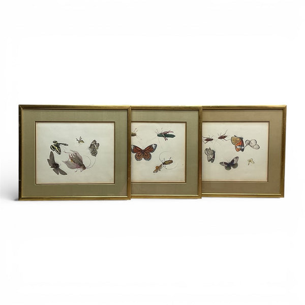 3 China Trade Watercolor Paintings of Insects 1820's